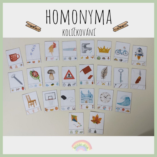 Homonyma, kolíčkování — foto 2