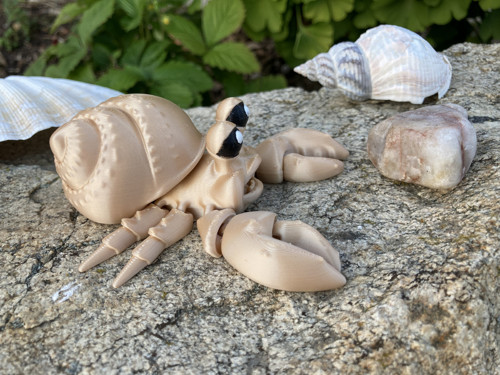 Flexi krabík Poustevníček - kluk, 3D tisk — foto 2