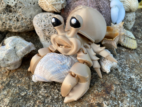 Flexi krabík Poustevníček - kluk, 3D tisk — foto 6