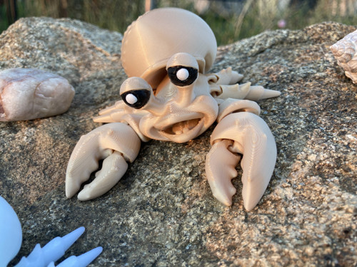 Flexi krabík Poustevníček - kluk, 3D tisk — foto 3