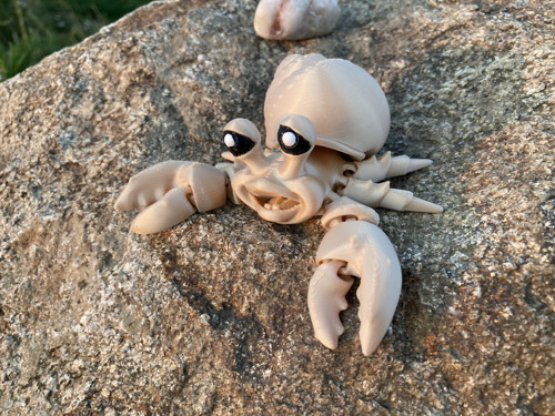 Flexi krabík Poustevníček - kluk, 3D tisk — foto 4