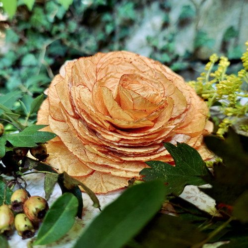 Gold — foto 6