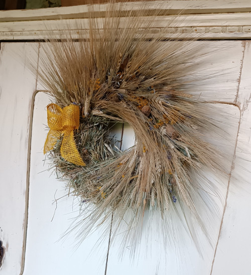 Střapáček — foto 5