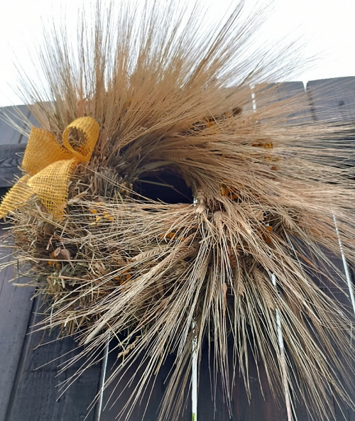 Střapáček — foto 4