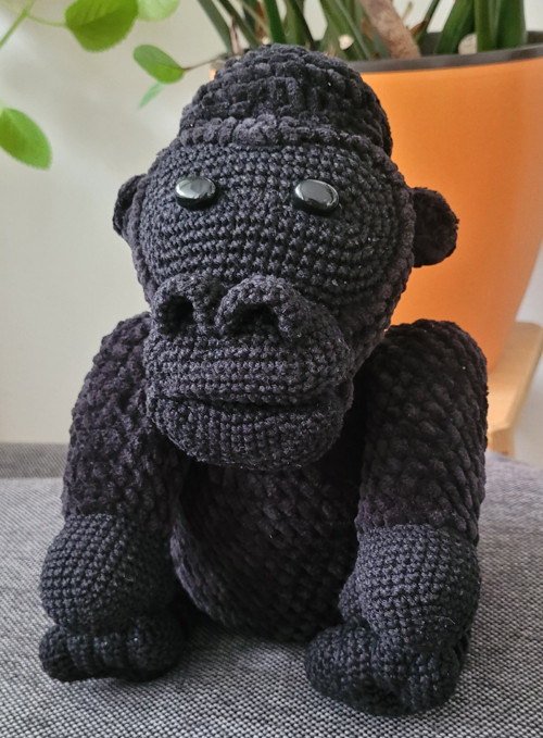 Gorila na přání — foto 3