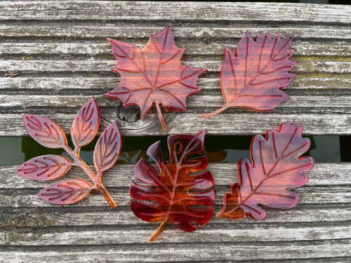 Podzimní listí — foto 2