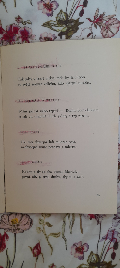 Epigramy - K. H. Borovský — foto 6