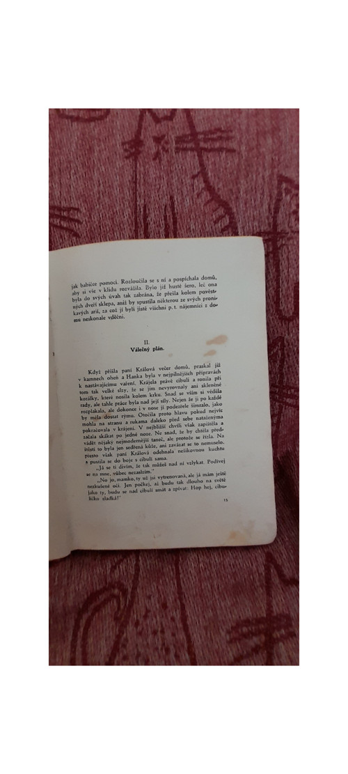 Hanka nezná překážek — foto 4