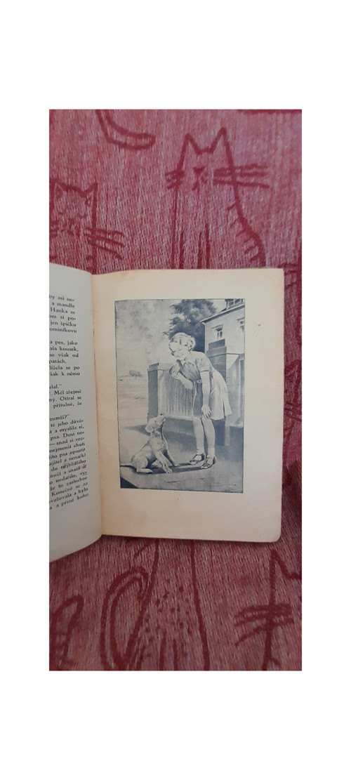 Hanka nezná překážek — foto 5