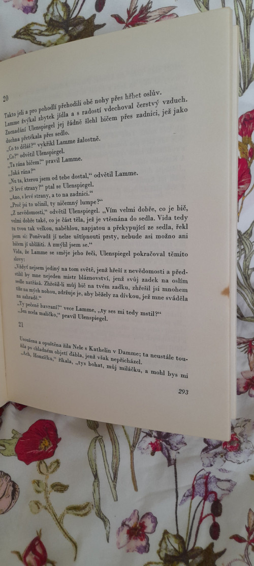 Ulenspiegel — foto 3