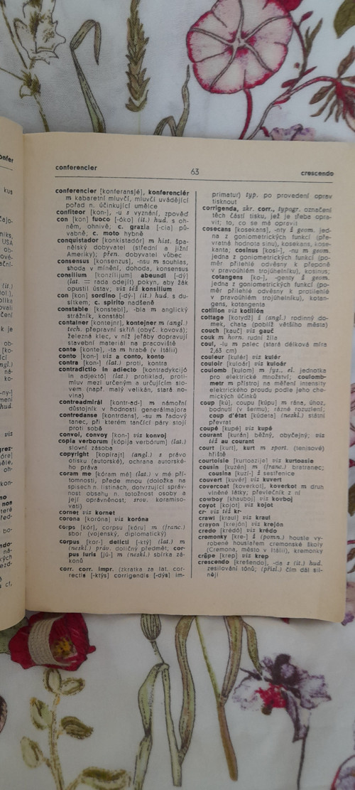 Slovník cizích slov — foto 3