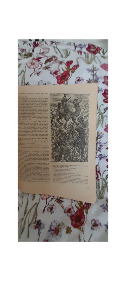 Maigret v akci — foto 4