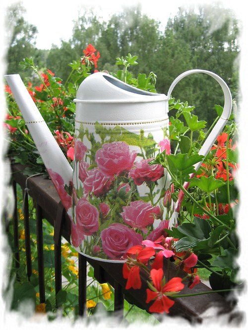 Č.4 - Rose — foto 2