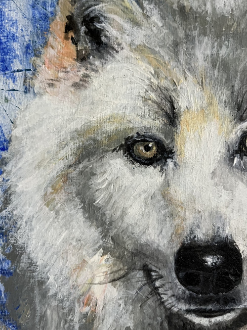 Obraz Bílý vlk/The white wolf — foto 3