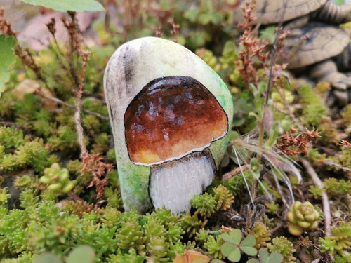 Hřib — foto 3