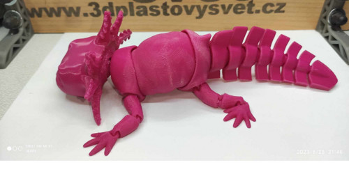 Vysmátý Axolotl - hýbací — foto 2