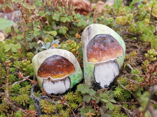 Hřib — foto 5