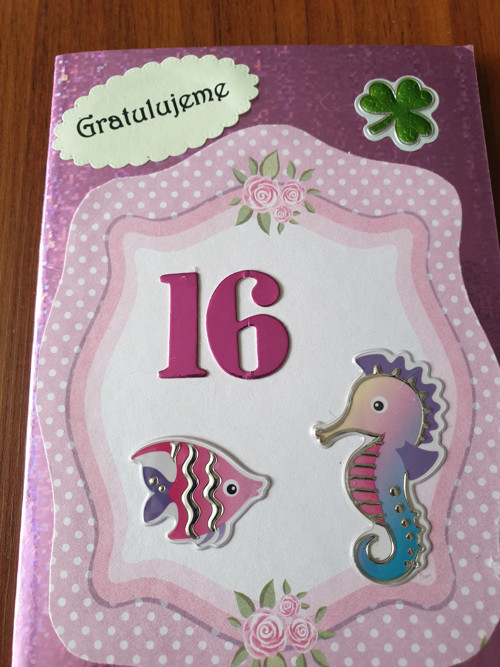 Gratulace k 16 narozeninám — foto 2