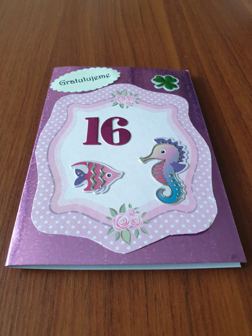 Gratulace k 16 narozeninám — foto 3