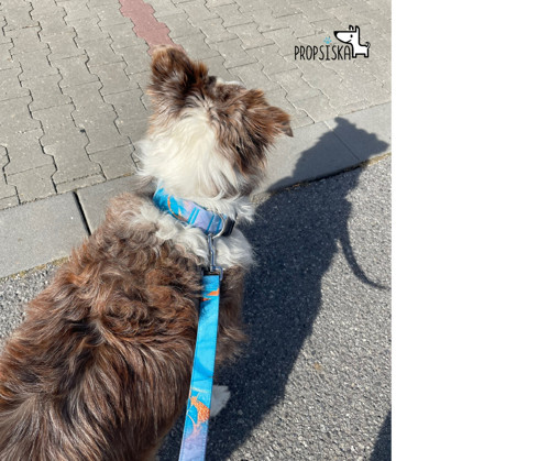 Vodítko soft - Tyrkysový mramor — foto 3