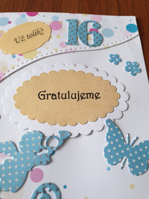 Gratulace k 16 narozeninám — foto 4