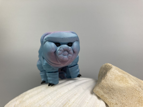 Flexi Želvuška S - modrá, 3D tisk — foto 5