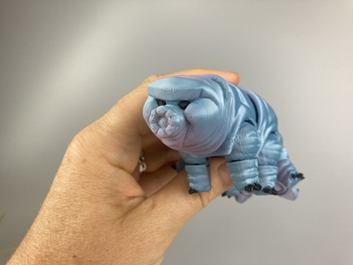 Flexi Želvuška S - modrá, 3D tisk — foto 6