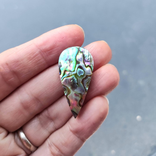 Abalone/Abalon, ID 3106, 32x15 mm — foto 2