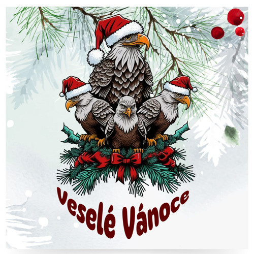 Vánoce u orlů — foto 2