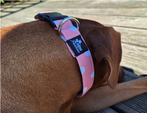 Obojek Polka Dot růžový softshell — foto 5