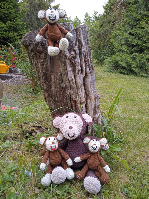 Opičí rodinka — foto 2