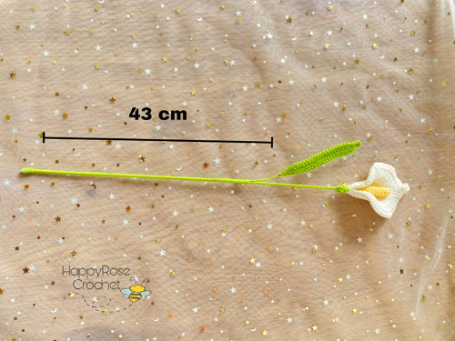Květ Calla Lily — foto 4
