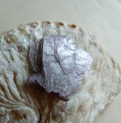 Lepidolit - 3,8 cm — foto 4
