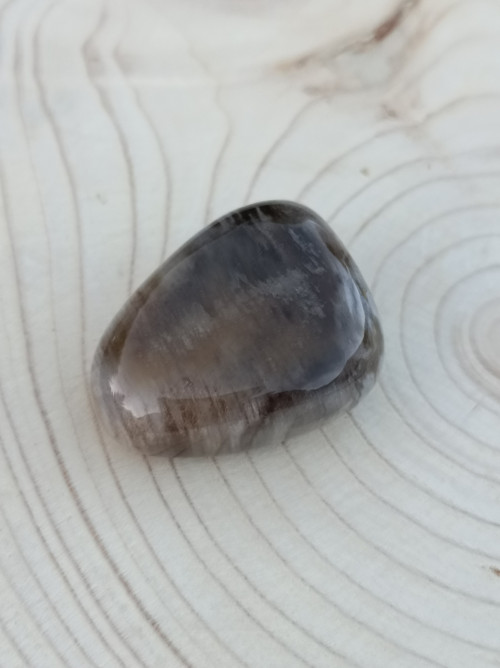 Zkamenělé dřevo tromlované č. 1 — foto 3