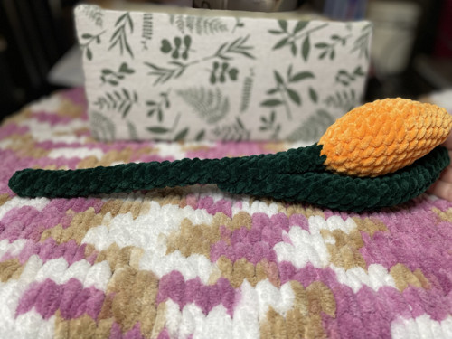 Tulipan — foto 3