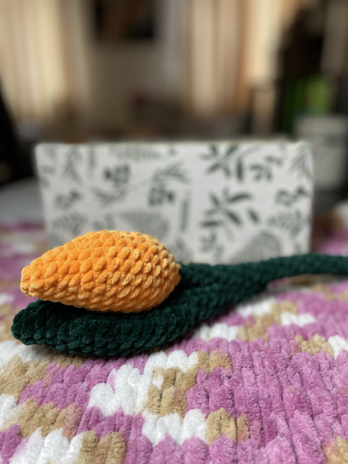 Tulipan — foto 2
