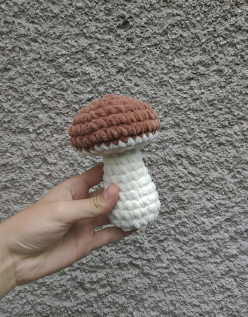 Hříbek — foto 4