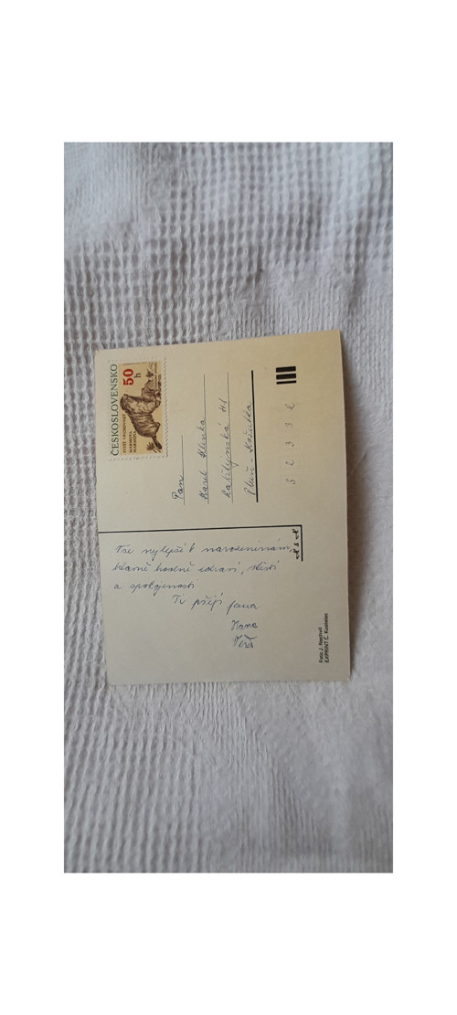 Jiřinky — foto 2