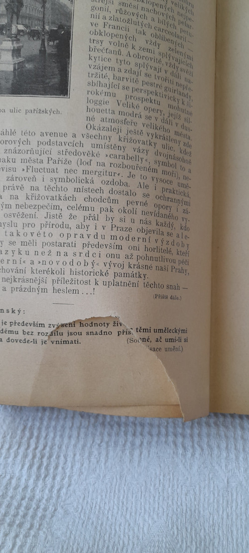 Krása našeho domova — foto 4