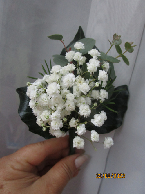 Bohémská — foto 5