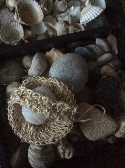 Sisalová drbalka — foto 3