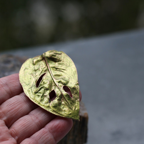 Brož pokovená Monstera — foto 4