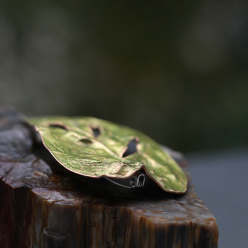 Brož pokovená Monstera — foto 3