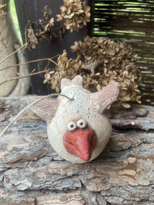 Pták s červeným zobákem — foto 3