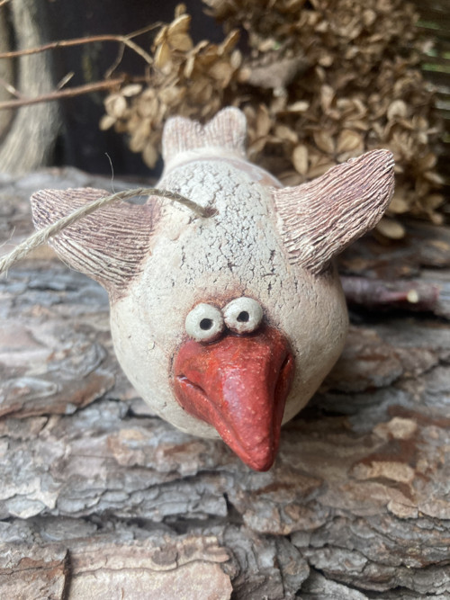 Pták s červeným zobákem — foto 2