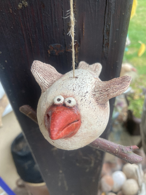 Pták s červeným zobákem — foto 4