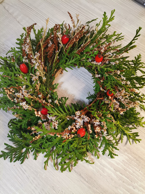Věneček podzimní malý — foto 3