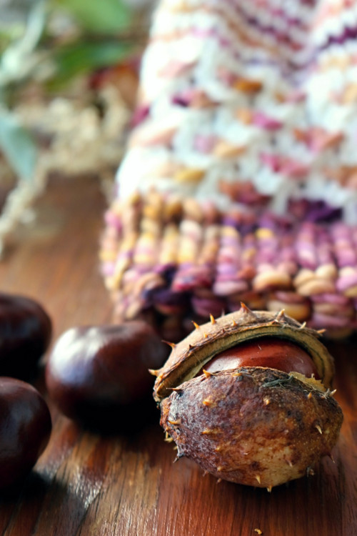 Čapule 100% merino "Meruňkové chutney" — foto 5