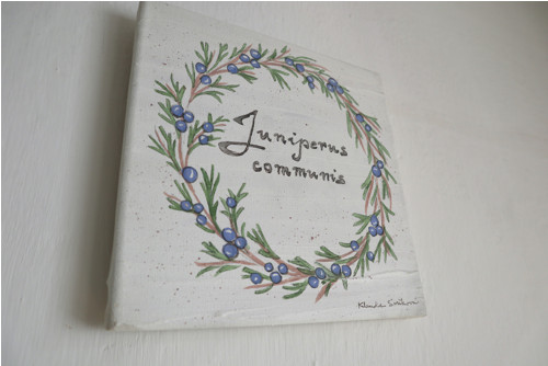 Juniperus communis — foto 4