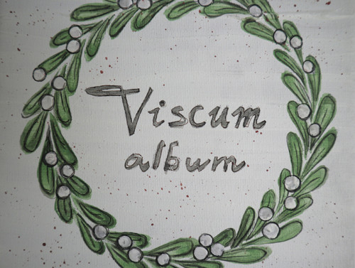 Viscum album — foto 2